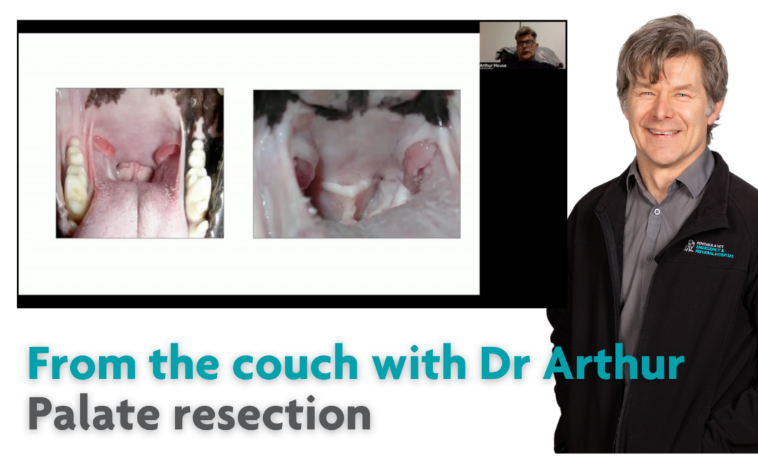 From the couch with Dr Arthur – Palate resection