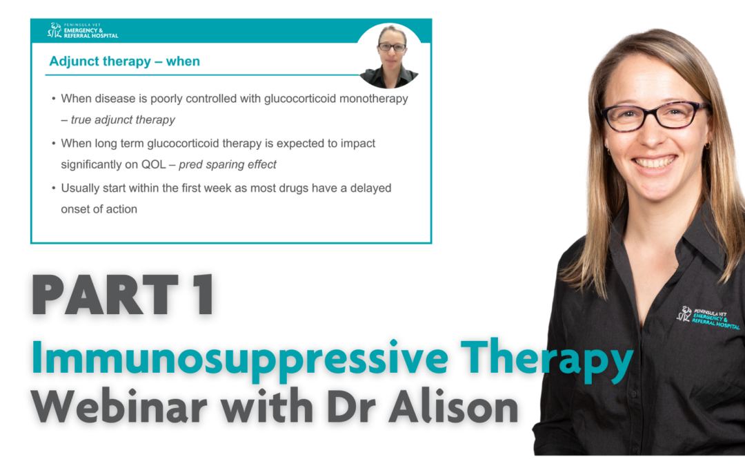 Immunosuppressive therapy webinar with Dr Alison – Part 1