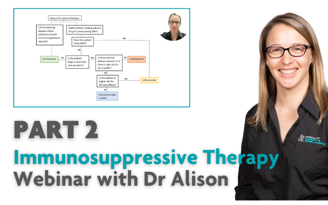 Immunosuppressive therapy webinar with Dr Alison – Part 2