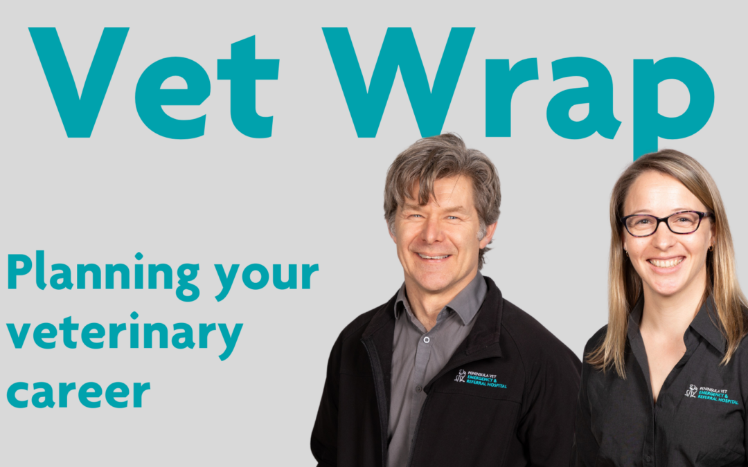 Vet Wrap Podcast, Ep 1: Planning your veterinary career