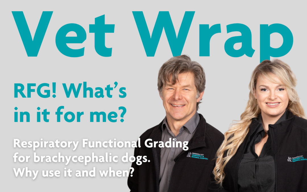 Vet Wrap Podcast, Ep 4: RFG: What’s in it for me?