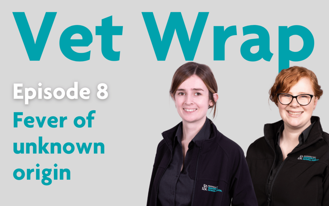 Vet Wrap Podcast, Ep 8: Fever of unknown origin, a case discussion