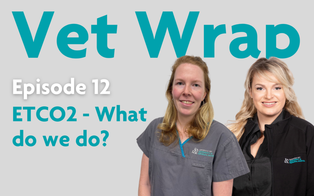 Vet Wrap Podcast, Ep 12: ETCO2 – What do we do?