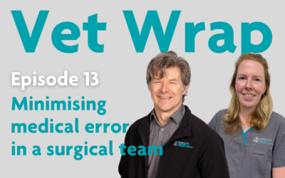 Vet Wrap Podcast, Ep 13: Minimising medical error in a surgical team