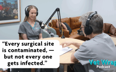 Vet Wrap Podcast, Ep 17: Infection Control – Back to Basics