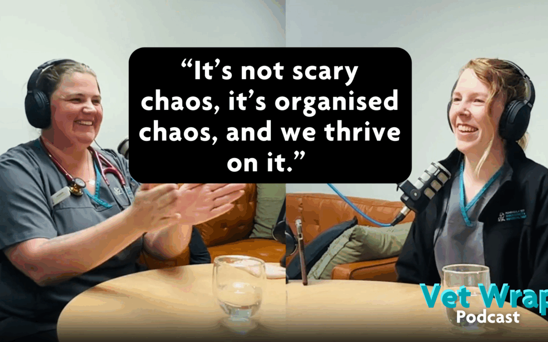 Vet Wrap Podcast, Ep 20: Working as an ECC Vet Nurse: What It’s REALLY Like